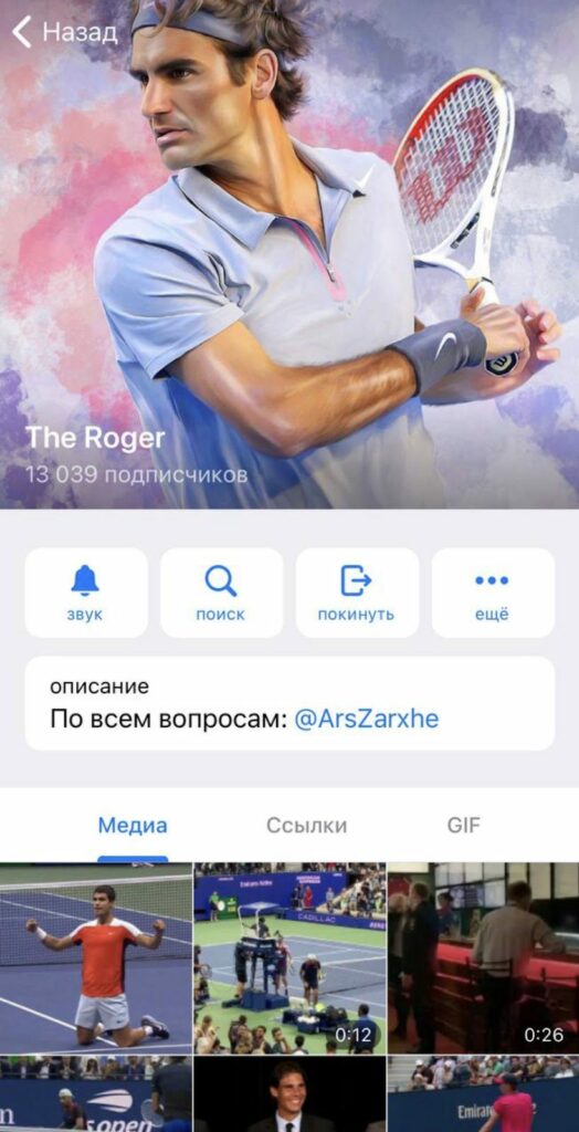 Telegram проект The Roger