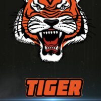 tiger bet, tigerbet, tiger bet отзывы