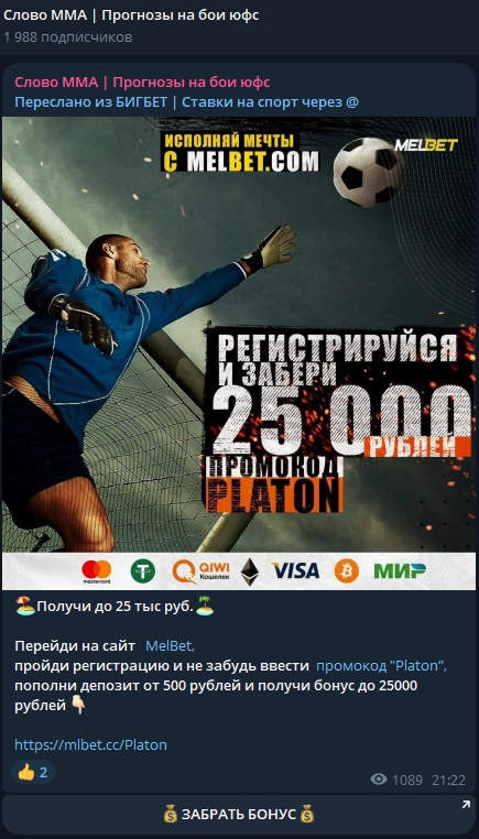stavki na ufc